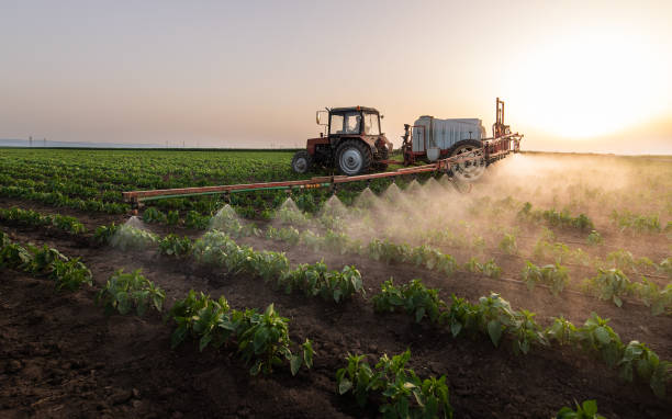 Best Pest Control Cost  in Marion, WI