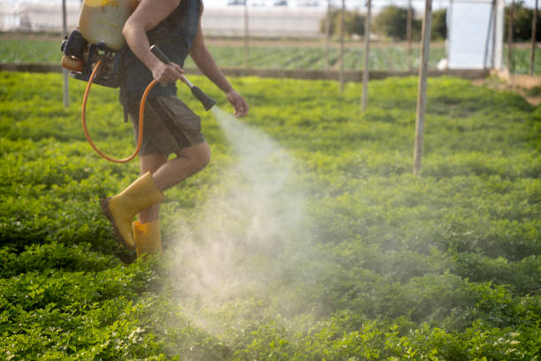 Best Wasp Removal Services  in Marion, WI