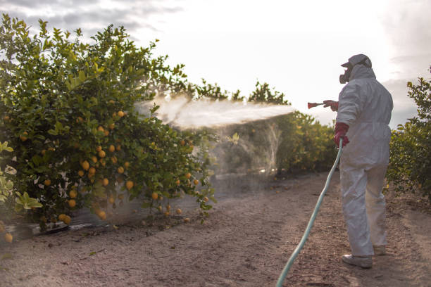 Best Pest Inspection Near Me  in Marion, WI