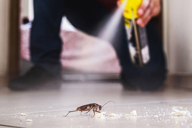 Best Exterminator Services  in Marion, WI
