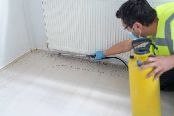 Best Pest Prevention Services  in Marion, WI